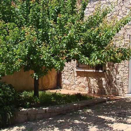 דירות אגליאנטו Bella Casa Con Giardino A 10 Minuti Dal Mare מראה חיצוני תמונה